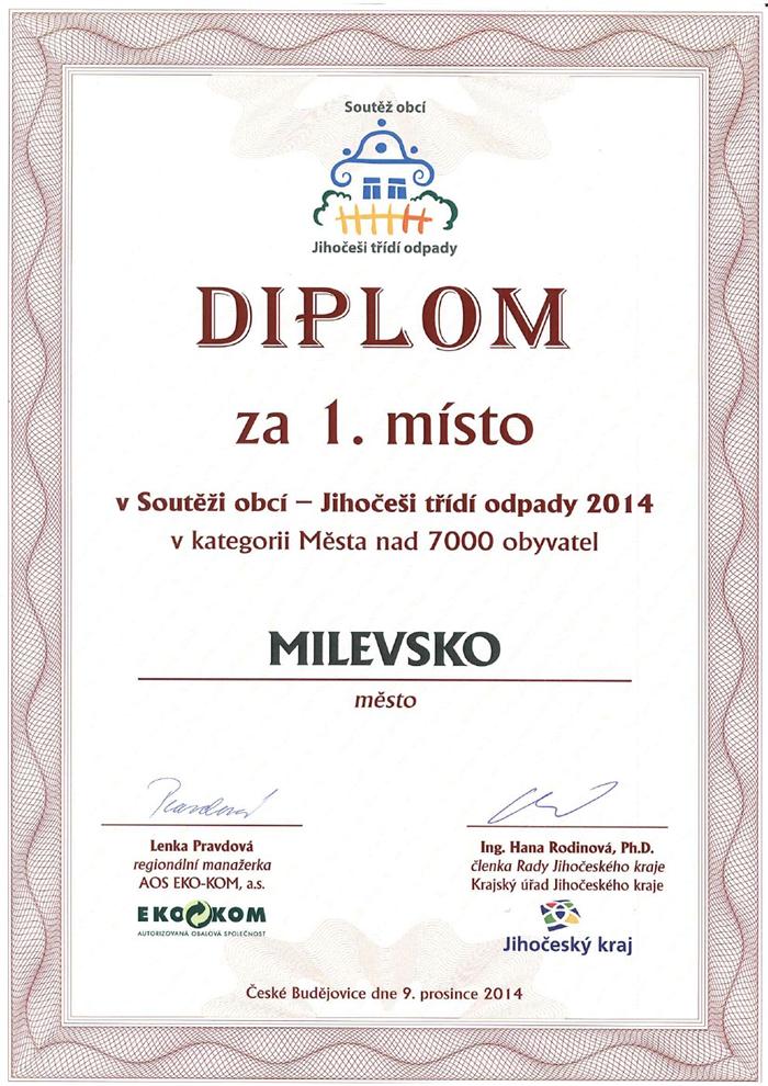 diplom-smm